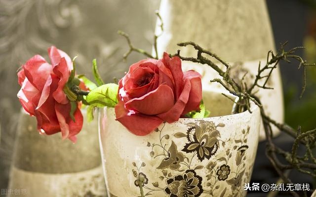 属虎男接受几岁年龄差，属兔的年龄表