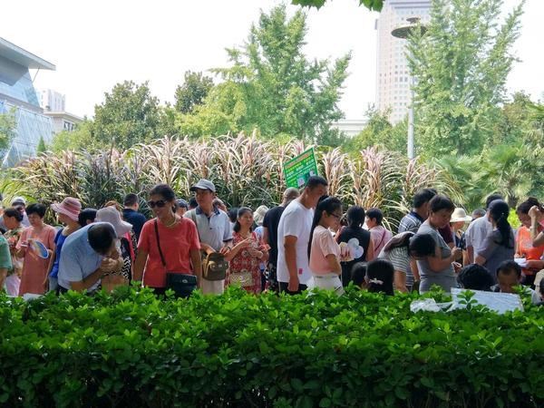 有免费婚姻介绍所，婚姻介绍所在哪里