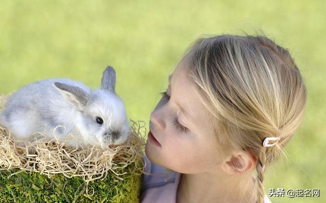 女孩子取名岸字好吗，带岸字的名字