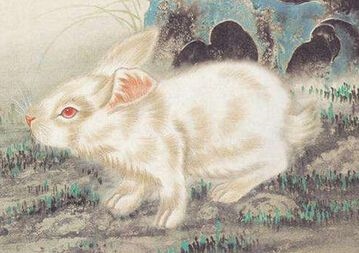 属兔人婚配属相更好，女生属兔配啥属相更好