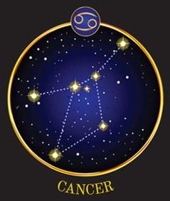 996年25岁是什么星座，成熟后的狮子女很可怕"