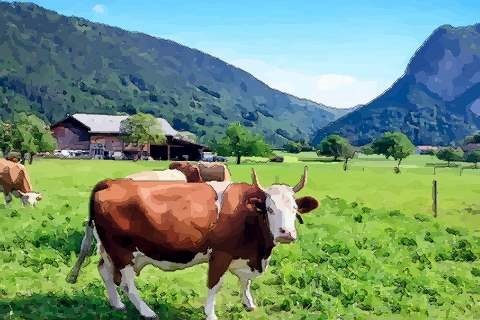 属牛女的命运为什么这么苦,1973年属牛人的命运