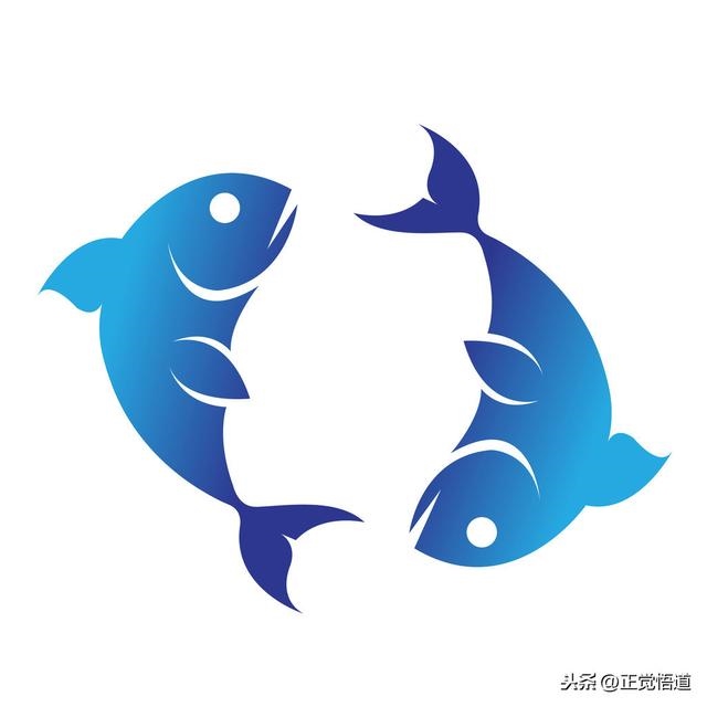 星座运势大全查询，2022 年星座运势查询