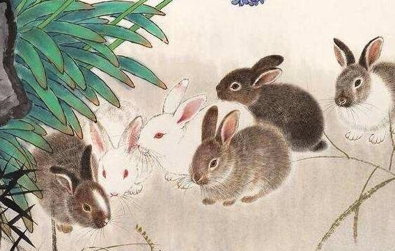 属兔男吃醋表达的方式，属兔男喜欢女人的穿着