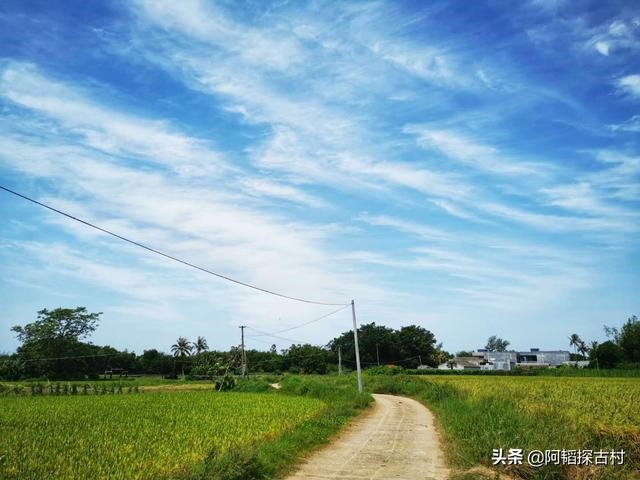 清朝乾隆庚辰年是哪一年，戊子月是几月