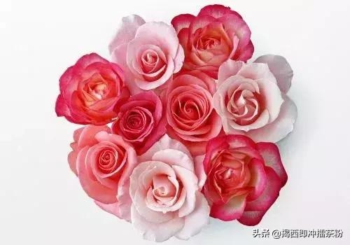 属鼠配什么生肖最旺，生肖鼠和什么生肖最旺