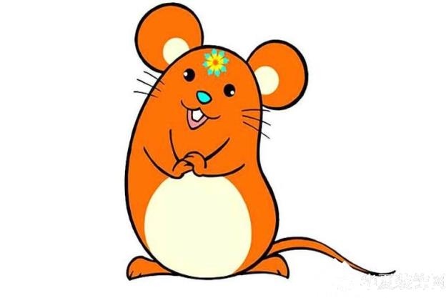 鼠最怕什么生肖，属鼠的最怕的三个生肖