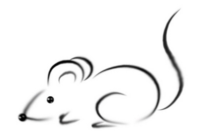 6年十二月属鼠的是什么命，96年12月出生的属鼠人的命运"