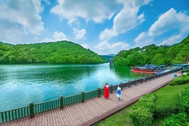 属猪2032年几岁，属猪今年15岁2月初9