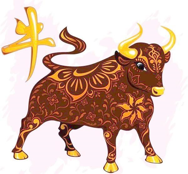 属鼠的和什么生肖更好，属于鼠的与什么生肖相配好