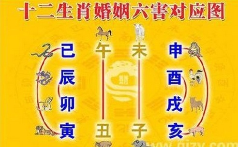 虎和牛属相合不合八字,属虎和属牛的在事业上好不好