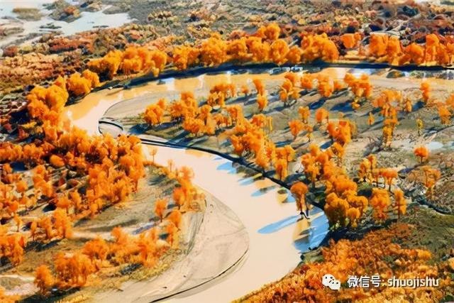 三元九运旺山旺向表查询，三元九运风水不败坐向