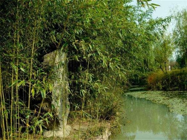 属龙未来10年运势走向，2022年属龙人的全年运龙