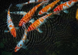 生肖蛇今日偏财运，属蛇在2022 年的财运