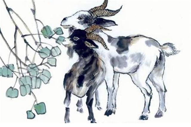 白马从来怕青牛后面的怎么说，白马怕青牛口诀