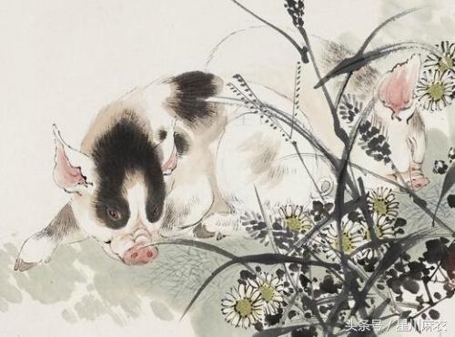 最没良心的三大生肖女，最没良心的三大生肖兔