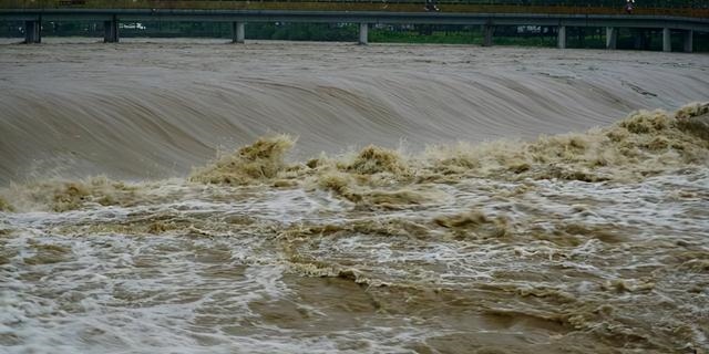 998虎百年难遇，属虎1998年的男孩命运"