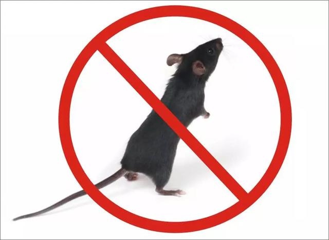 智能电子驱鼠器真的管用吗， 上的驱鼠器到底有没有效果