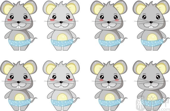 属鼠男和属鼠女的合不合，生肖鼠男和生肖鼠女的关系