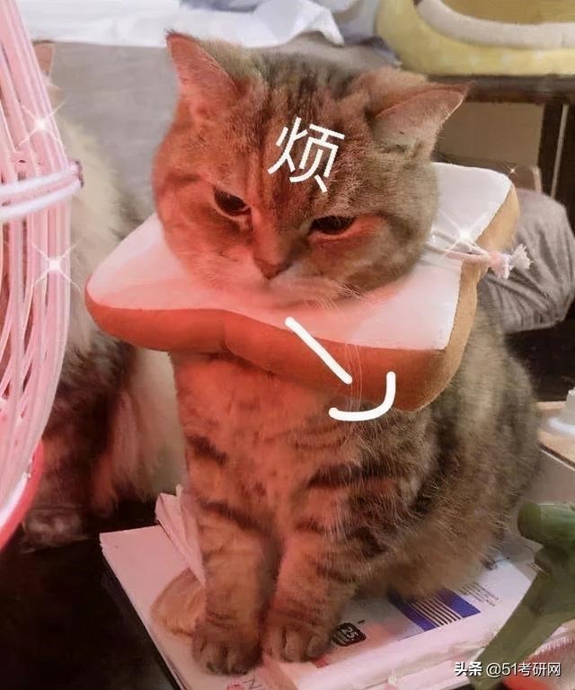 2年属猴最难的几年，92年属猴姻缘在哪里"