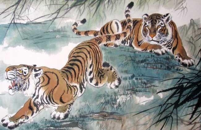 农历五月出生的虎男命运好吗,2022年为什么不能生5月虎