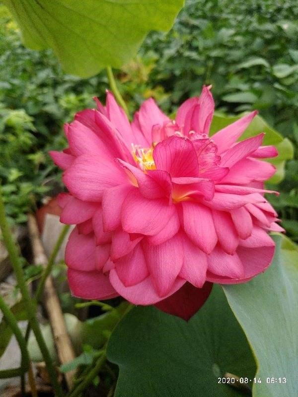 022年属龙忌讳颜色，属龙什么颜色最吉利"