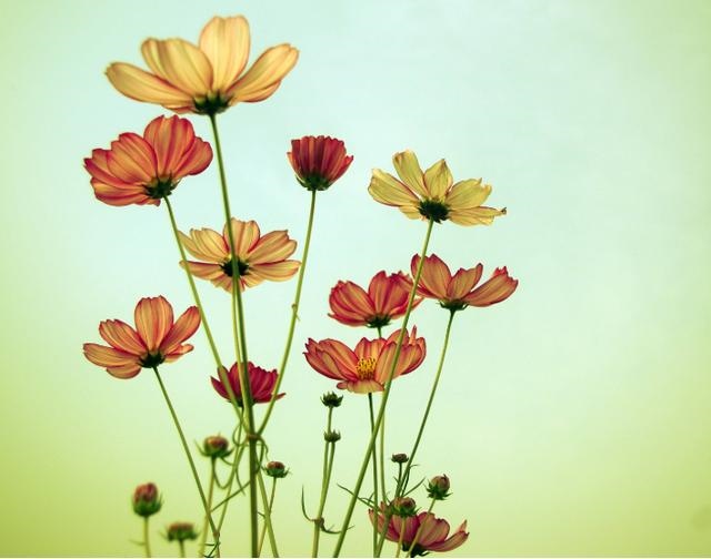 属鼠男人吵架的表现，属鼠男放不下一个人的表现