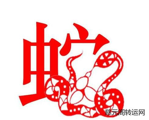 属蛇的2022年运势运程，2022年运势12生肖运势详解