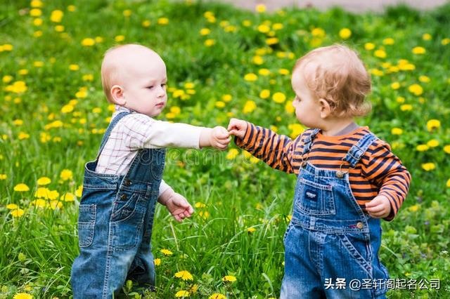 新生婴儿起名大全男孩，李姓100分的名字