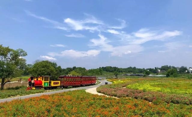 属猪2032年几岁，属猪今年15岁2月初9