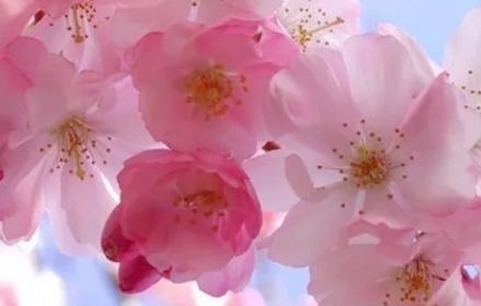 000年属龙男的正缘,2000龙女2000龙男"