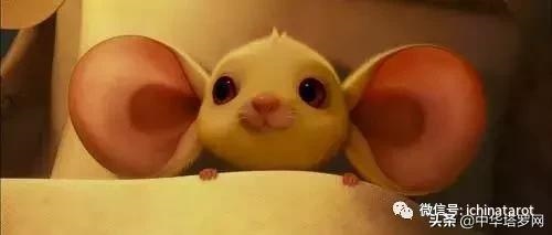 6岁属鼠的是什么命，86年属什么的生肖"