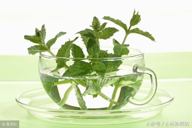 属鼠人的克星都是哪些，属蛇人一辈子的克星