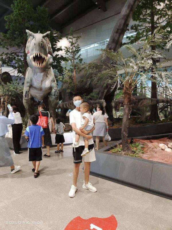 3年属猪不能有儿子，83年的猪38岁后十年"