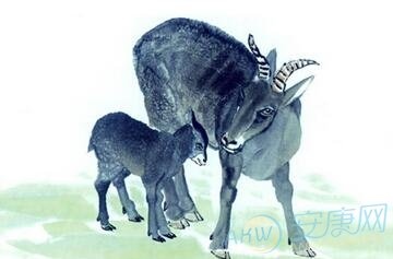 属羊人婚配什么属相好，女属羊的和什么属相最配