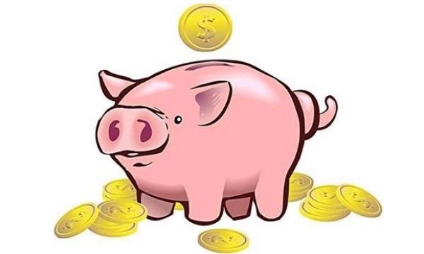 5年属猪的真爱，属猪1995年有几次婚姻"