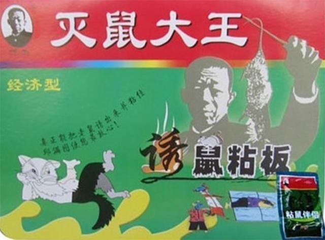 什么食物最能引诱老鼠上钩，早餐食谱大全