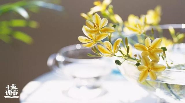 属鼠开店朝向哪个方向好，属鼠做生意适合哪方向