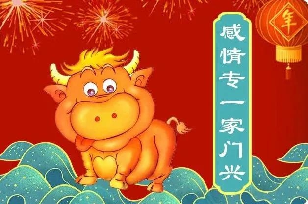 属马和属牛的婚姻相配吗，85牛男和90马女结婚了