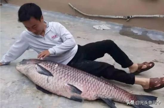 5年属蛇人的终身寿命，1977年属蛇女44岁后"