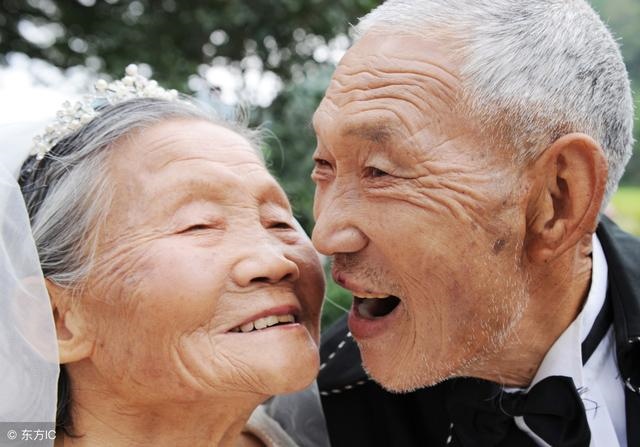 属猪的发财年龄段，属猪大忌颜色