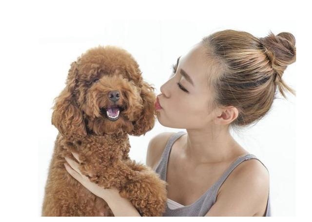 属兔人的性格和脾气l，属兔的生肖好不好