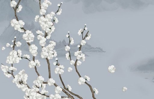 022年属虎几月出生更好，2022年属虎几月出生旺父母"