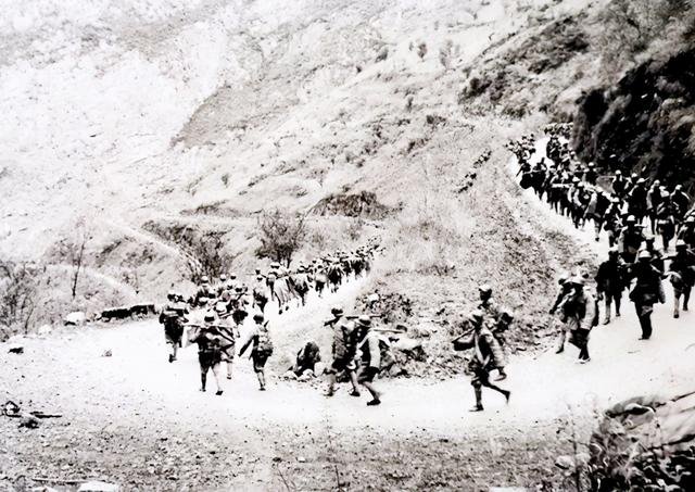 属鼠的领袖人物及名人，生肖鼠和什么生肖最配