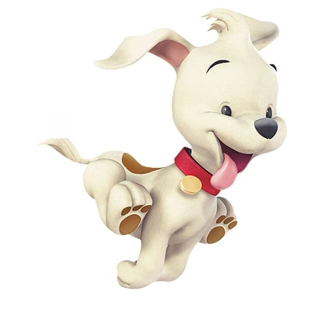 属狗人要远离哪些生肖，属狗人的正缘在哪一年