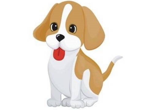 982年属狗39岁每月运势，1982年属狗39岁下半年运势"