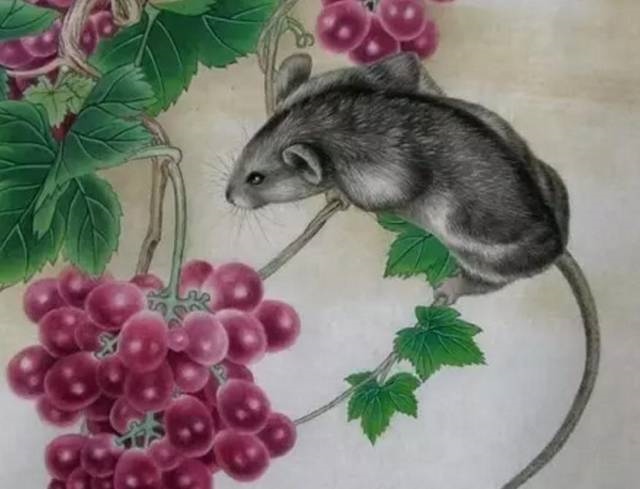 996年属鼠的劫难,96年属鼠哪一岁有灾"