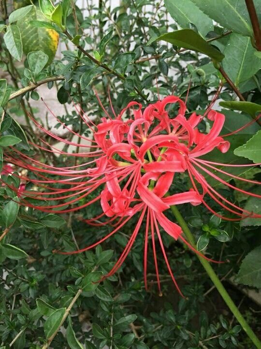 022年属龙忌讳颜色，属龙什么颜色最吉利"