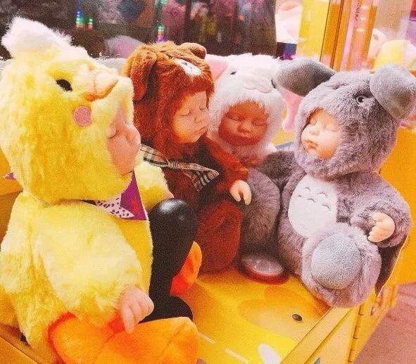 属猪2032年几岁，属猪今年15岁2月初9