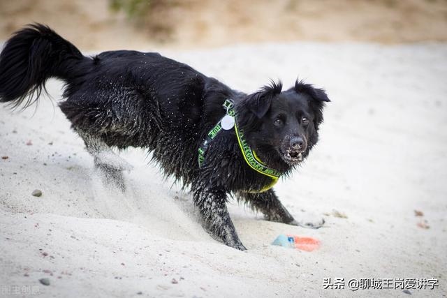 戊戌戍戎怎么读，戊戌年是哪一年